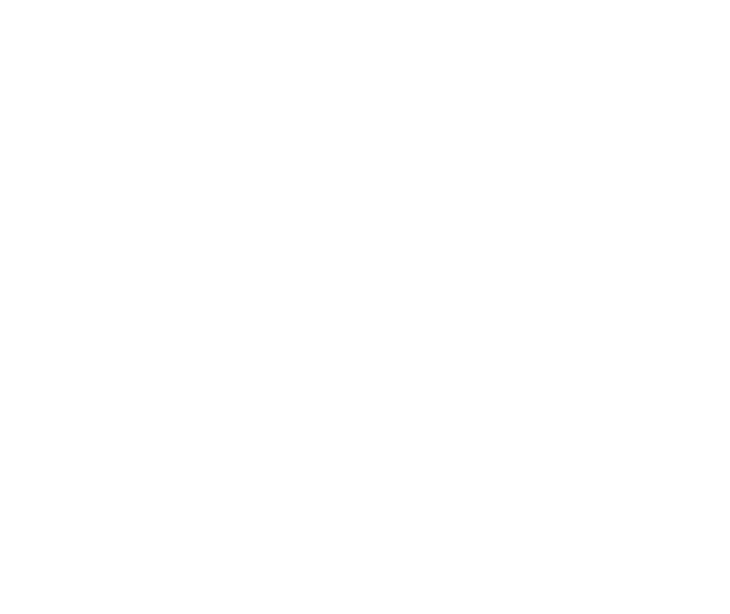 HINT