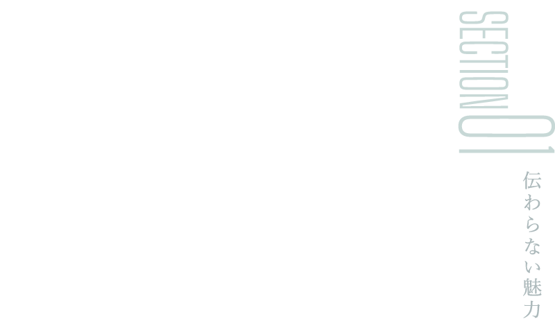 SECTION01：伝わらない魅力