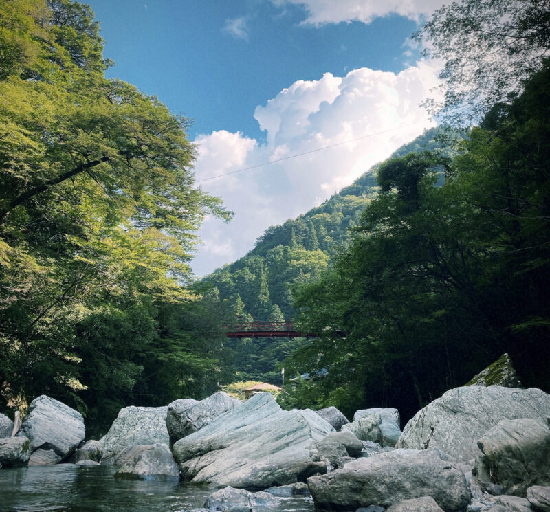 高知県にいきました🐟