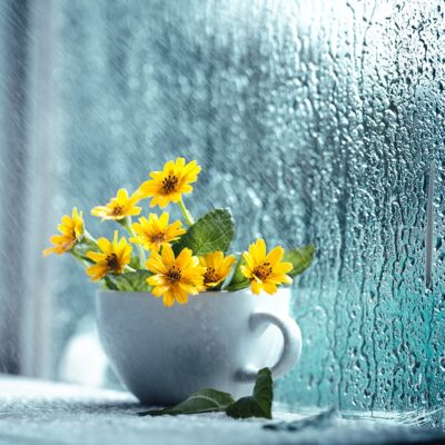 ☂️おすすめの雨の日の休日の過ごし方☂️