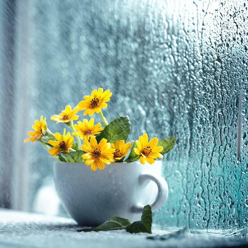 ☂️おすすめの雨の日の休日の過ごし方☂️