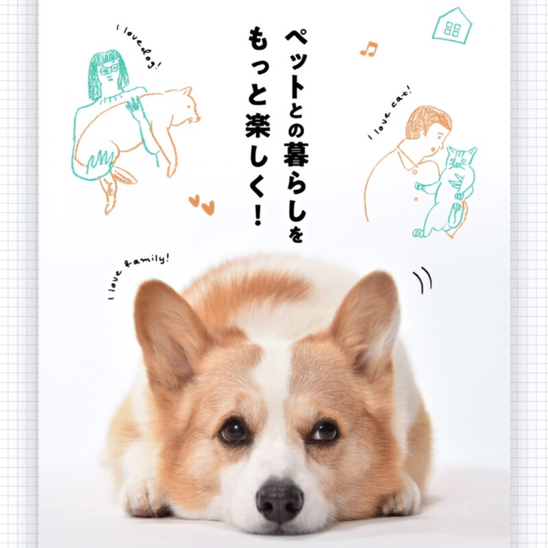 ペットと暮らす家づくり｜設計・素材・間取りの工夫ポイント