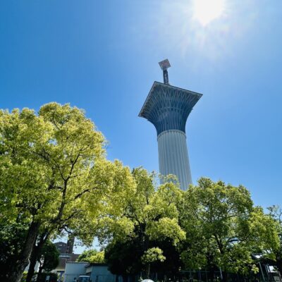 みんなの卒業論文