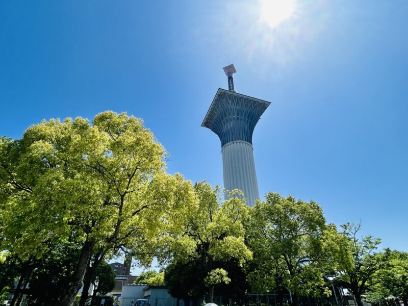 みんなの卒業論文