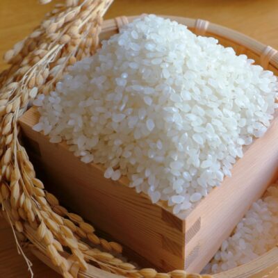 最近の好きな食べ物2025