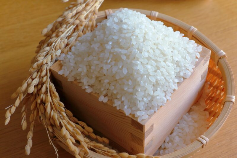 最近の好きな食べ物2025