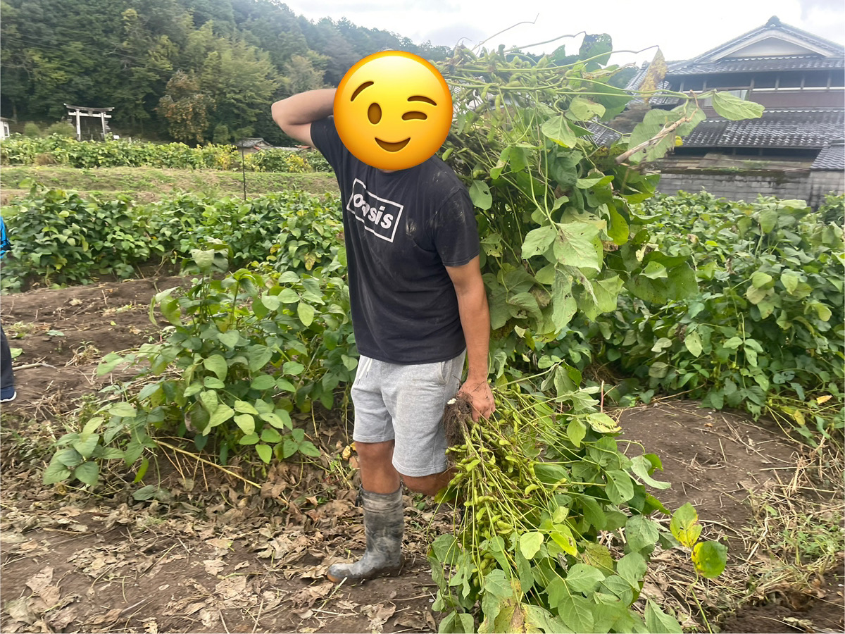 黒枝豆を買いに