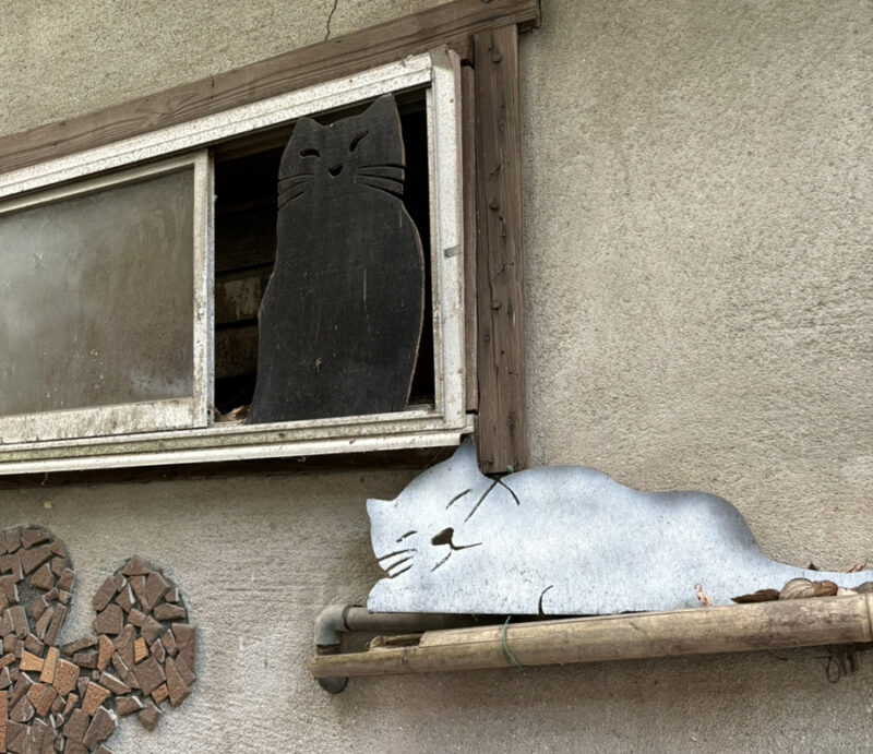 尾道の可愛い猫ちゃん