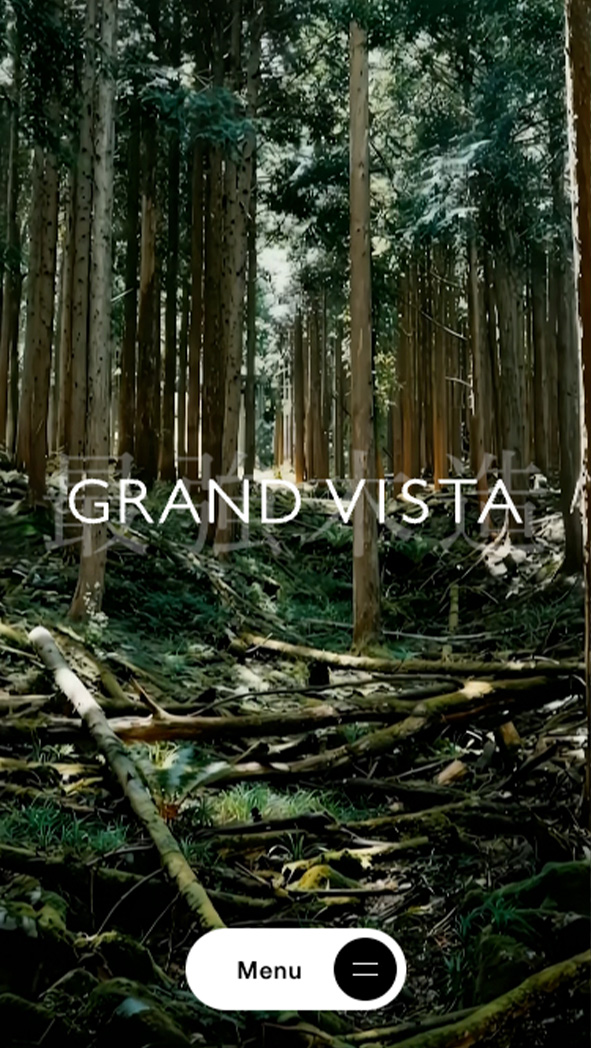 GRAND VISTA